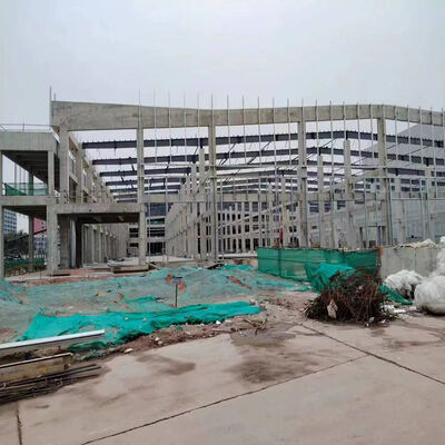 Galvanized Steel Structure Building Customized For Building Requirements